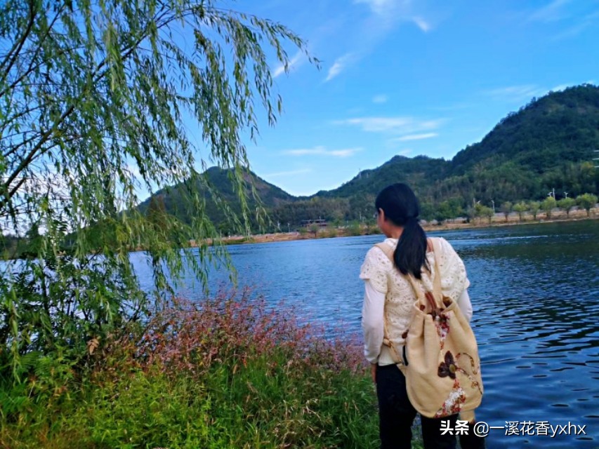 春风又绿江南岸风景,春风又绿江南岸风景图片
