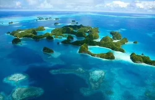 多国旅行签证办理流程,全球旅行签证攻略