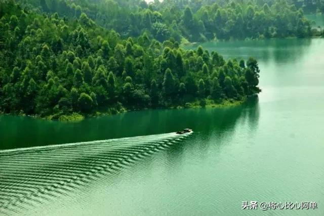 广东省十大战略性新兴产业,广东最具有投资潜力12个县