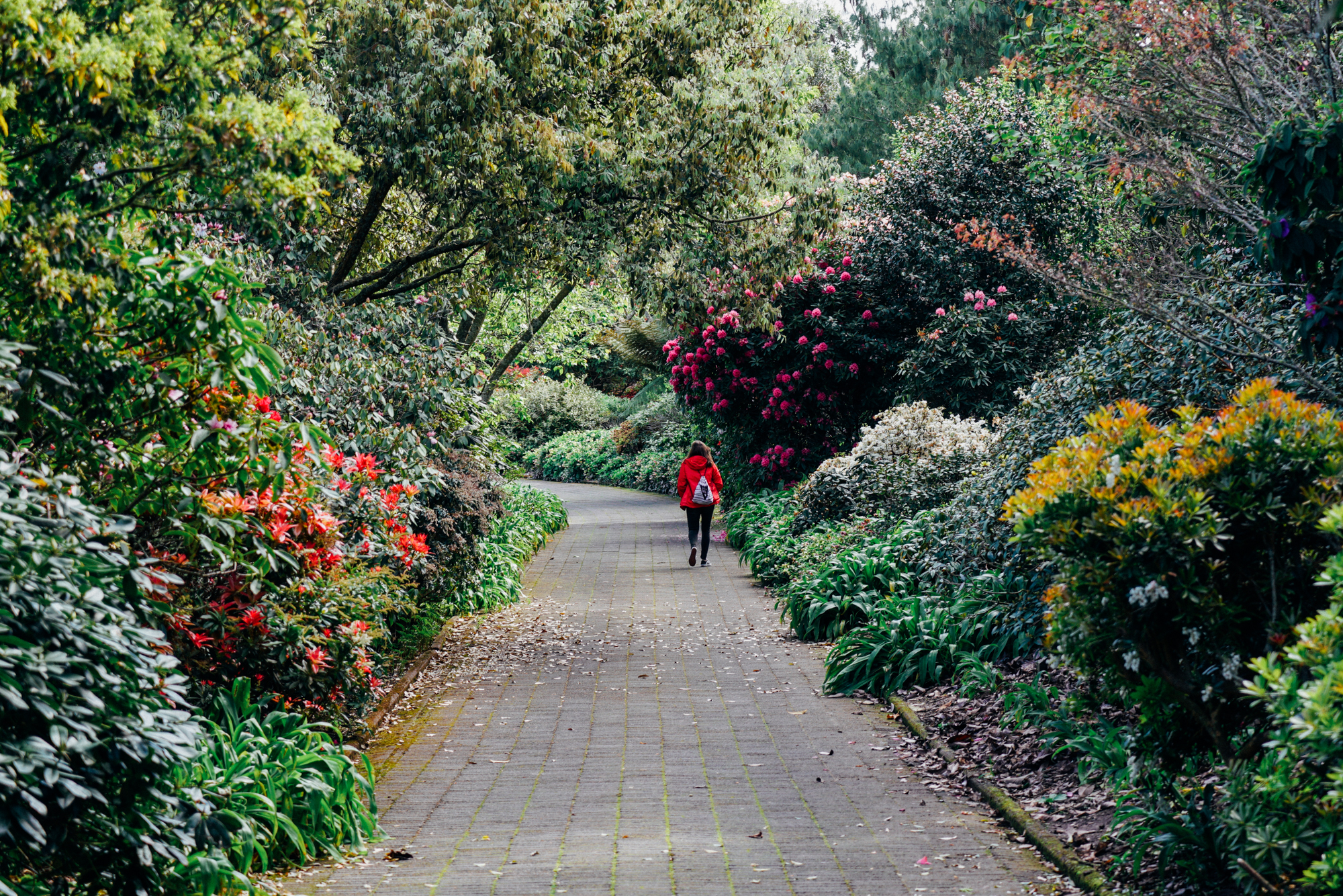 为什么说新西兰是纯净的,新西兰北岛有值得去的地方吗