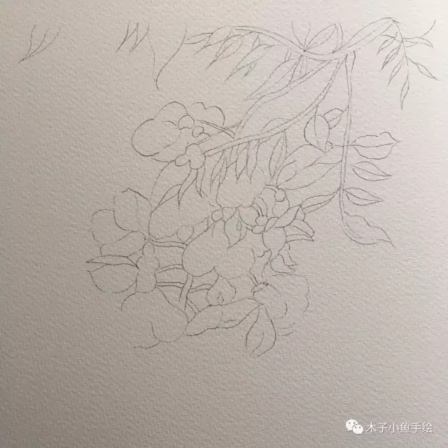 紫藤花水墨教程,紫藤花水粉画法步骤图