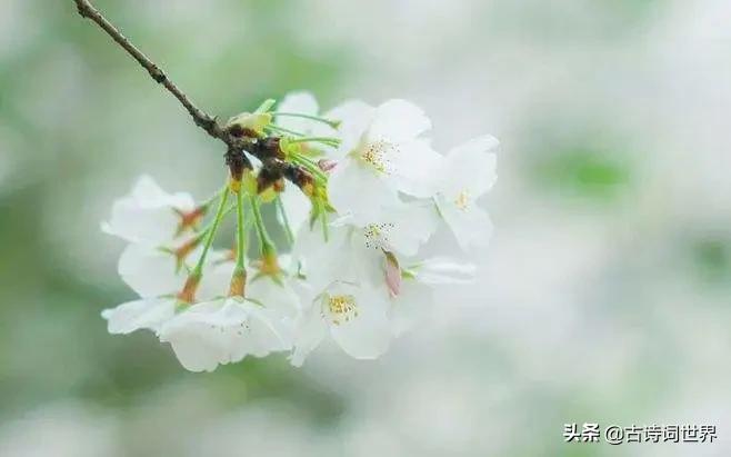 您语文好,请来读读试试,防老年痴呆