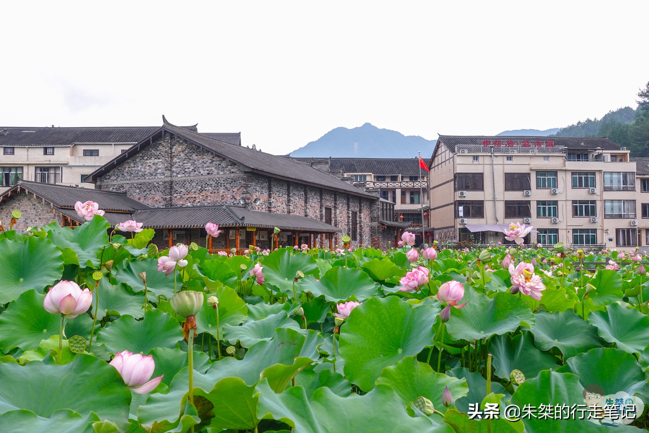 泰顺旅游攻略三日游推荐,泰顺六日游攻略