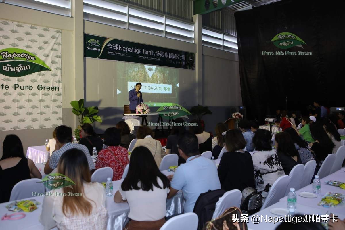 娜帕蒂卡双节同庆,娜帕蒂卡双11多少钱