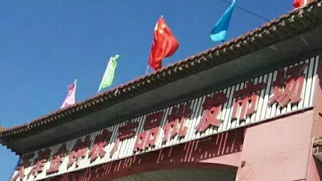 中国蔬菜批发市场大全,邓州菜农蔬菜批发市场在哪里