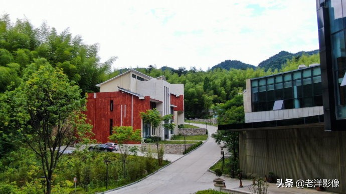 藏龙大别山度假酒店,罗田天堂寨藏龙大酒店价格