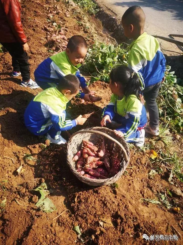 金太阳幼儿园校门,延安市甘泉谢金庄幼儿园