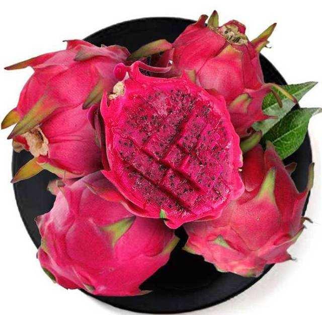 广西野猪“皇后”刘莹的致富经