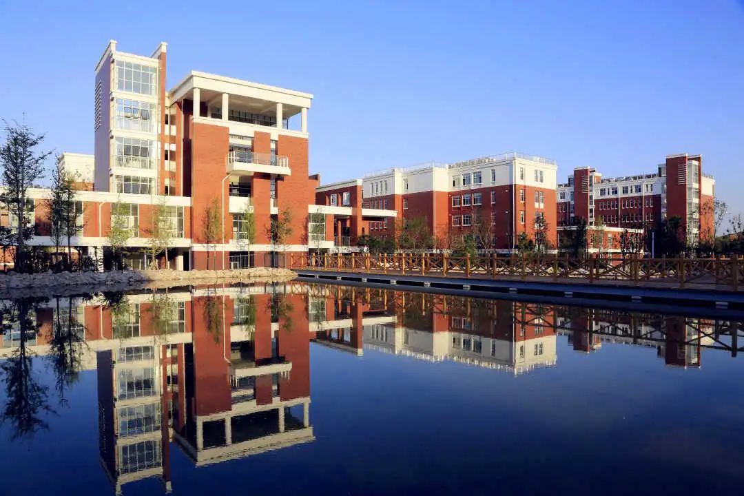 闈掑矝鍗佷節涓腑缇庣彮鏀惰垂鏍囧噯,闈掑矝鍗佷節涓腑缇庣彮