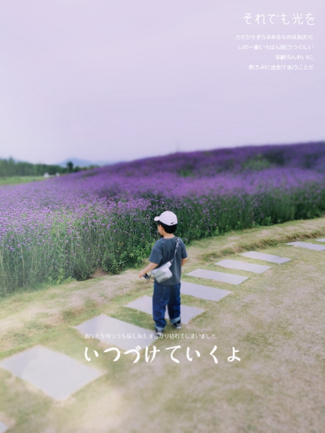 南京江北花海公园,南京适合亲子拍照的地方