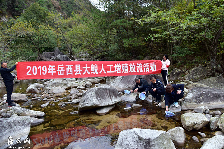 2021澶ч驳澧炴畺鏀炬祦宸ヤ綔鎬荤粨,澶ч驳澧炴畺鏀炬祦娲诲姩