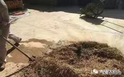 散文《打炕坯》作者：马腾驰