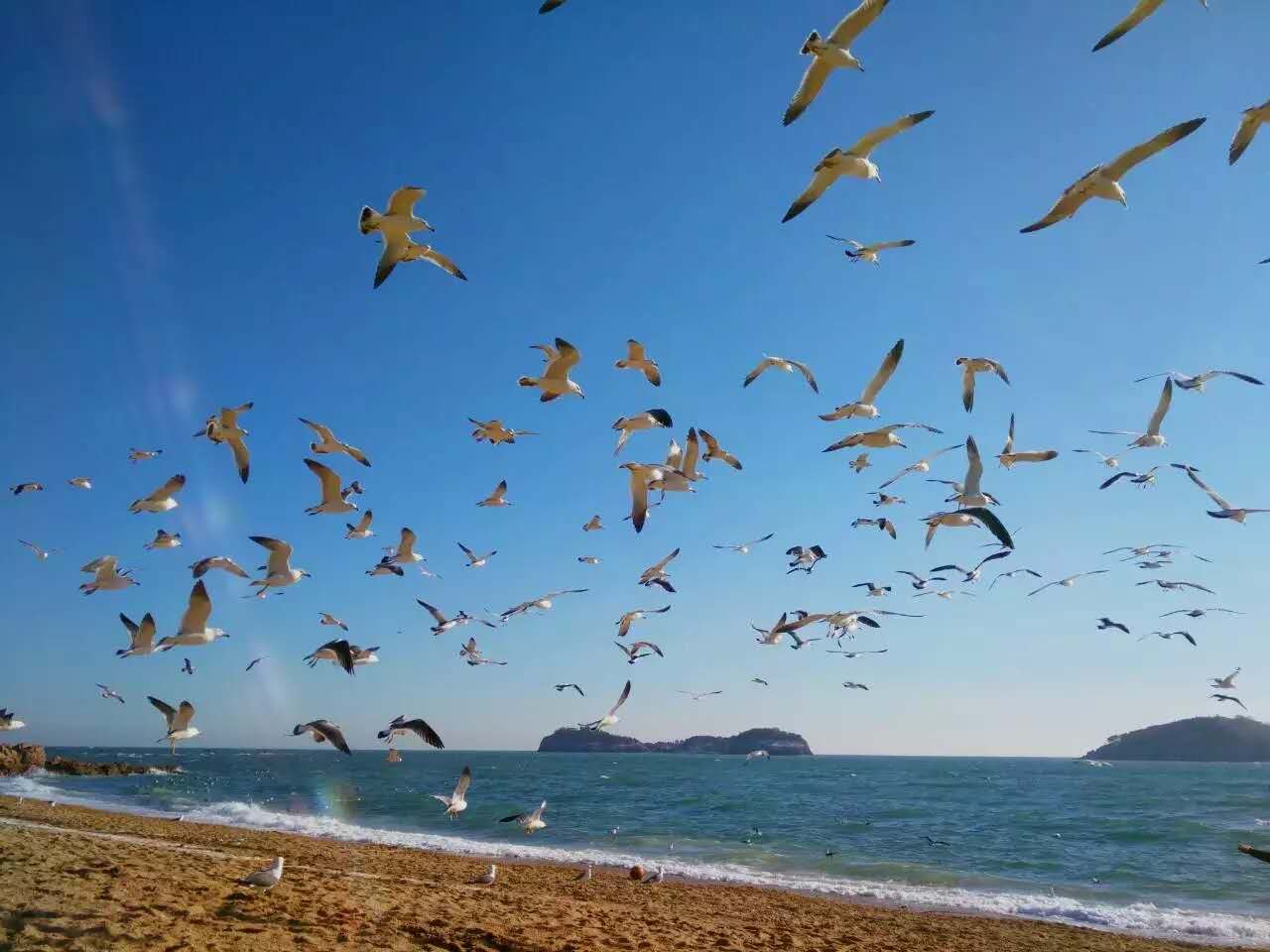 藏在百年工厂里的酒店，价格不到两百，含早，还送智利红酒