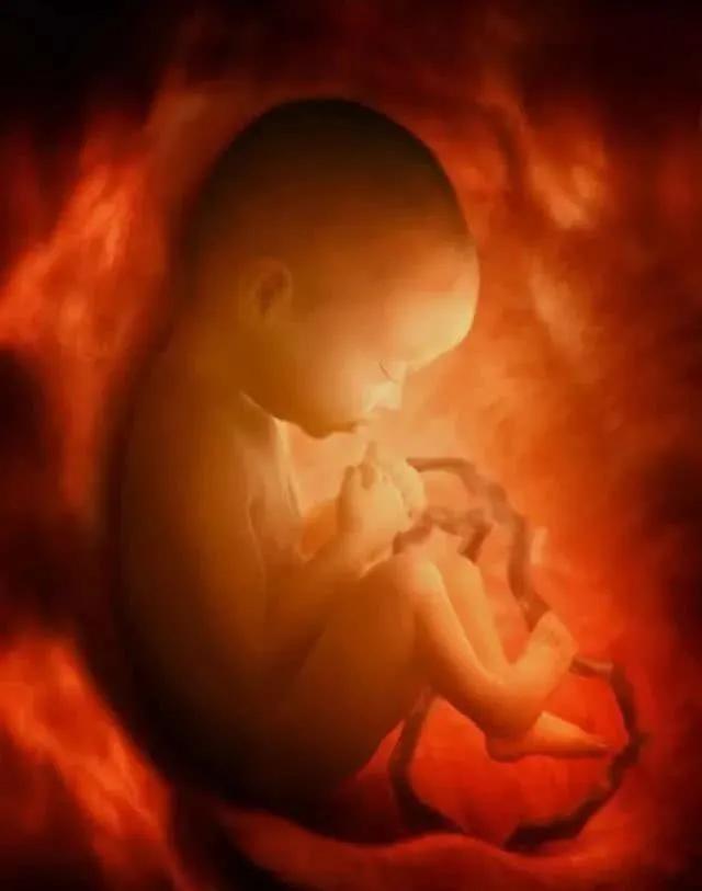 致堕胎孩子的一封信,写给堕胎婴儿的话