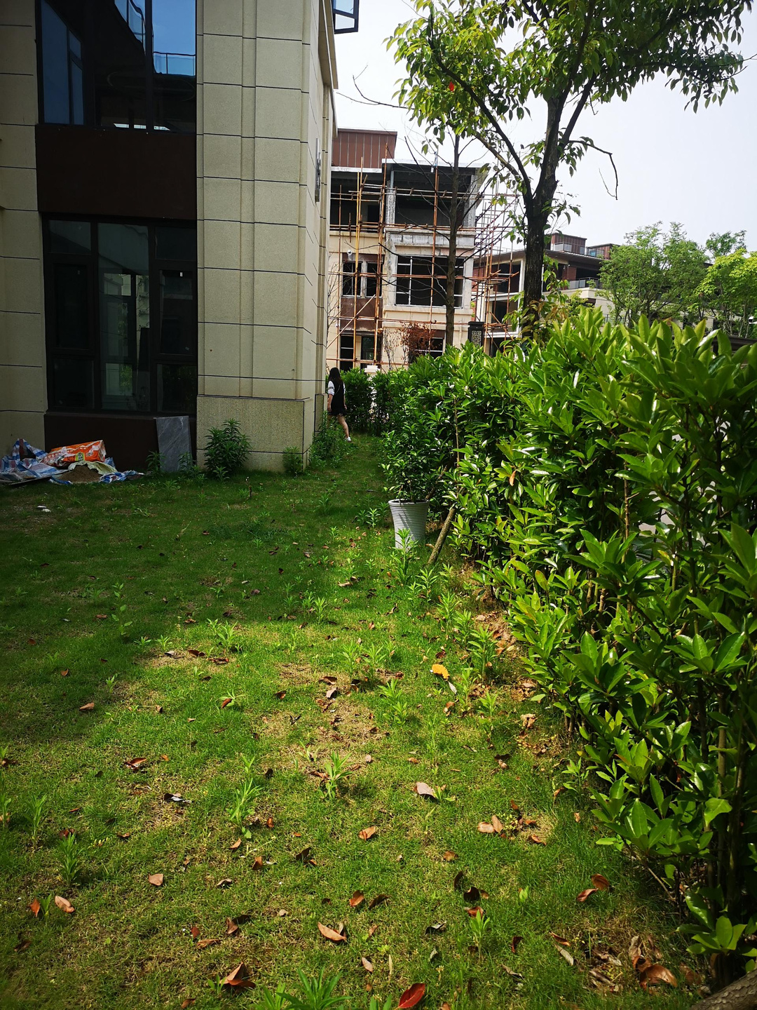 姝︽眽鏂板煄鑾叉箹閿﹀煄,鑾叉箹閿﹀煄125骞宠淇晥鏋滃浘