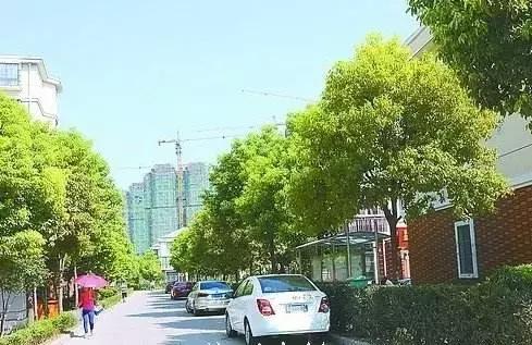 石家庄最新整顿项目,石家庄整治1123条小街巷名单