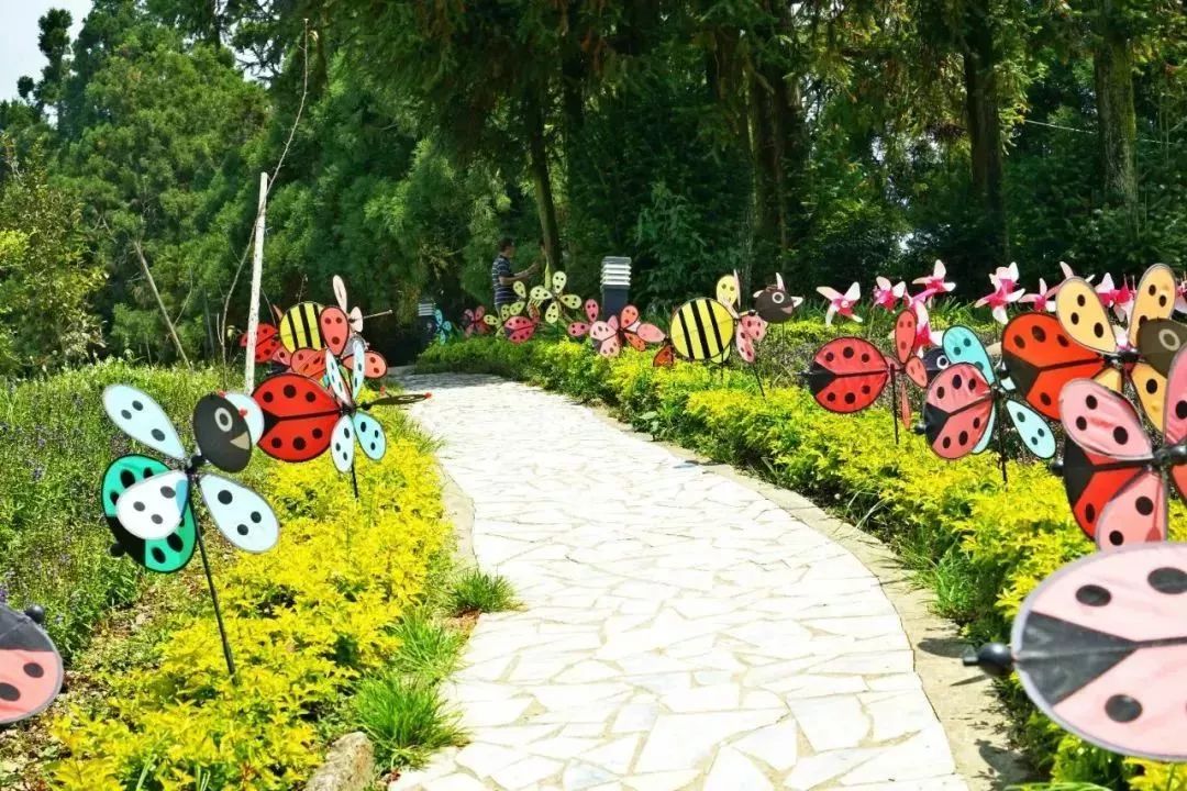 台湾文创标杆——清境农场!