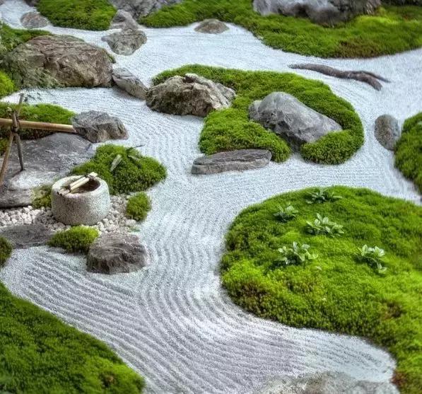 禅意庭院一定要用苔藓吗,禅意苔藓微景观制作视频