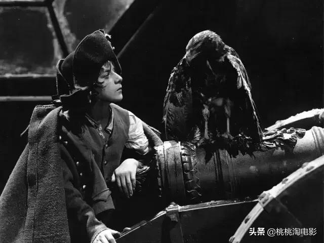 值得一看的一百部电影,重温经典100部电影