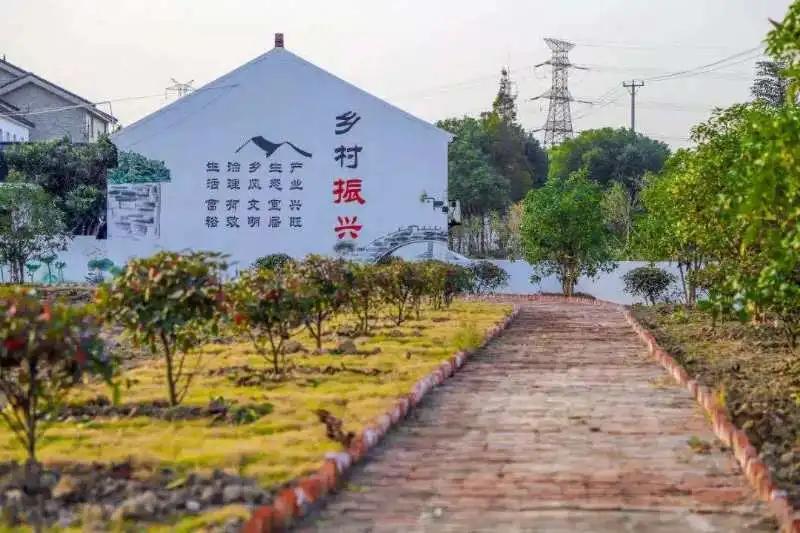 村容村貌征文,村容村貌600字征文