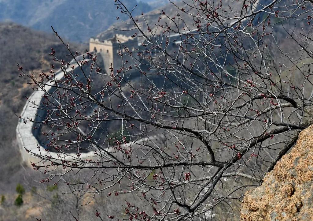 云游江山赏美景,云游花花世界欣赏杜鹃花
