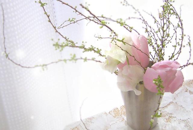 考研人的故事|理工科跨专业考取人大财金，平凡的努力着！