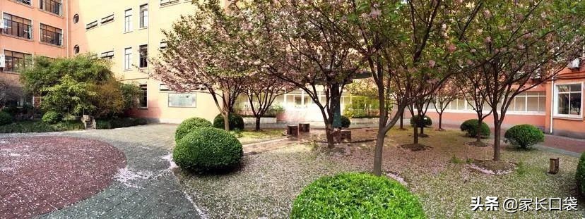 逆袭上海这10所小学被名校托管,上海7所小学强势逆袭