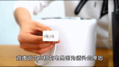 宠物饮水机“漏电”化身杨永信！你还敢让猫咪用它喝水吗？