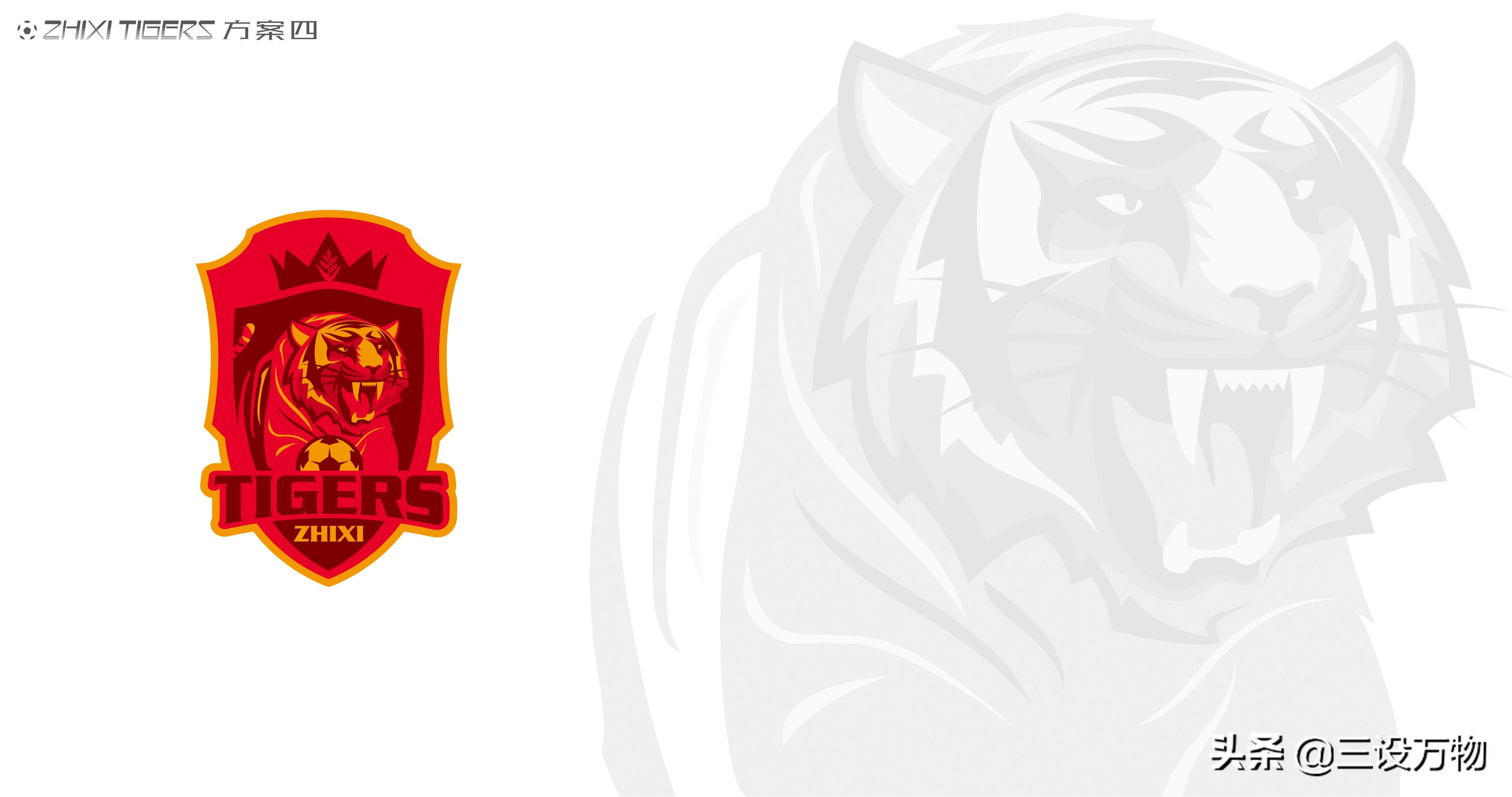 三设万物|ZHIXITIGERS足球俱乐部形象设计