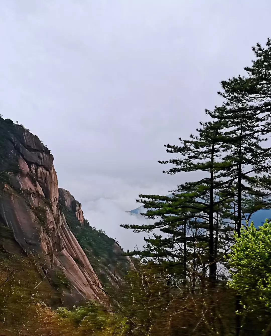 今天你被笑容治愈了吗,今天你被甜到了吗