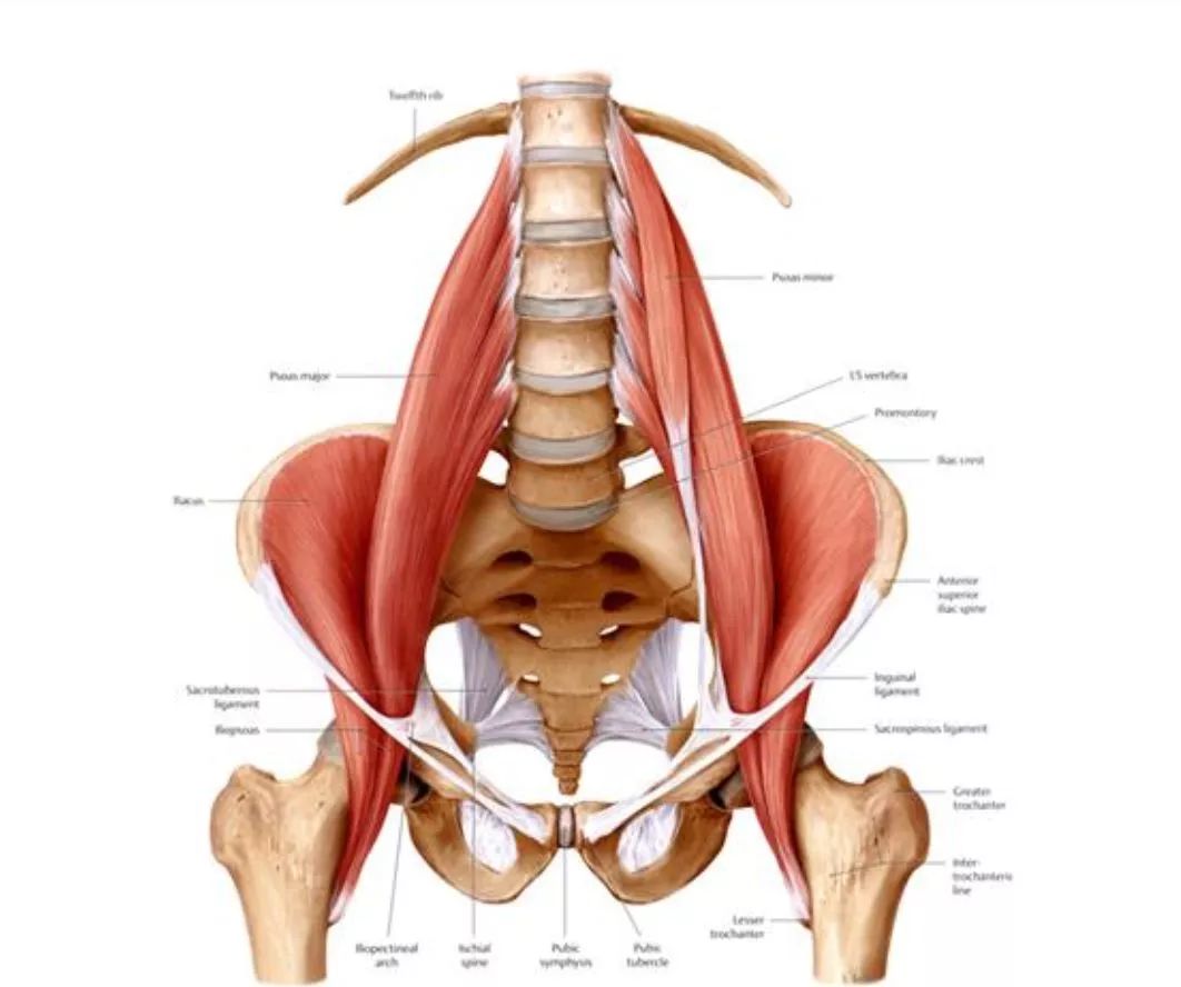 当妈后腰疼怎么缓解,妈妈腰疼的厉害怎么缓解