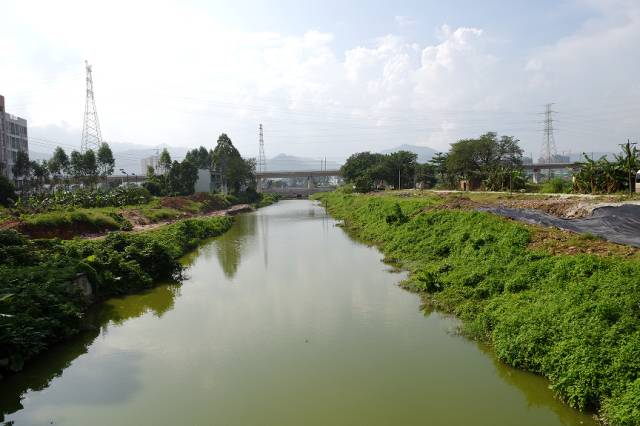 让鼎湖的大河小湖美起来!今年河长制工作这样推进……