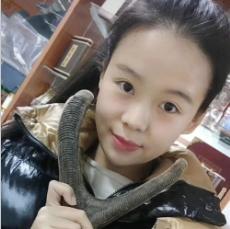 鹿茸蜡片泡酒为什么融化了,鹿茸泡酒的禁忌需要注意什么