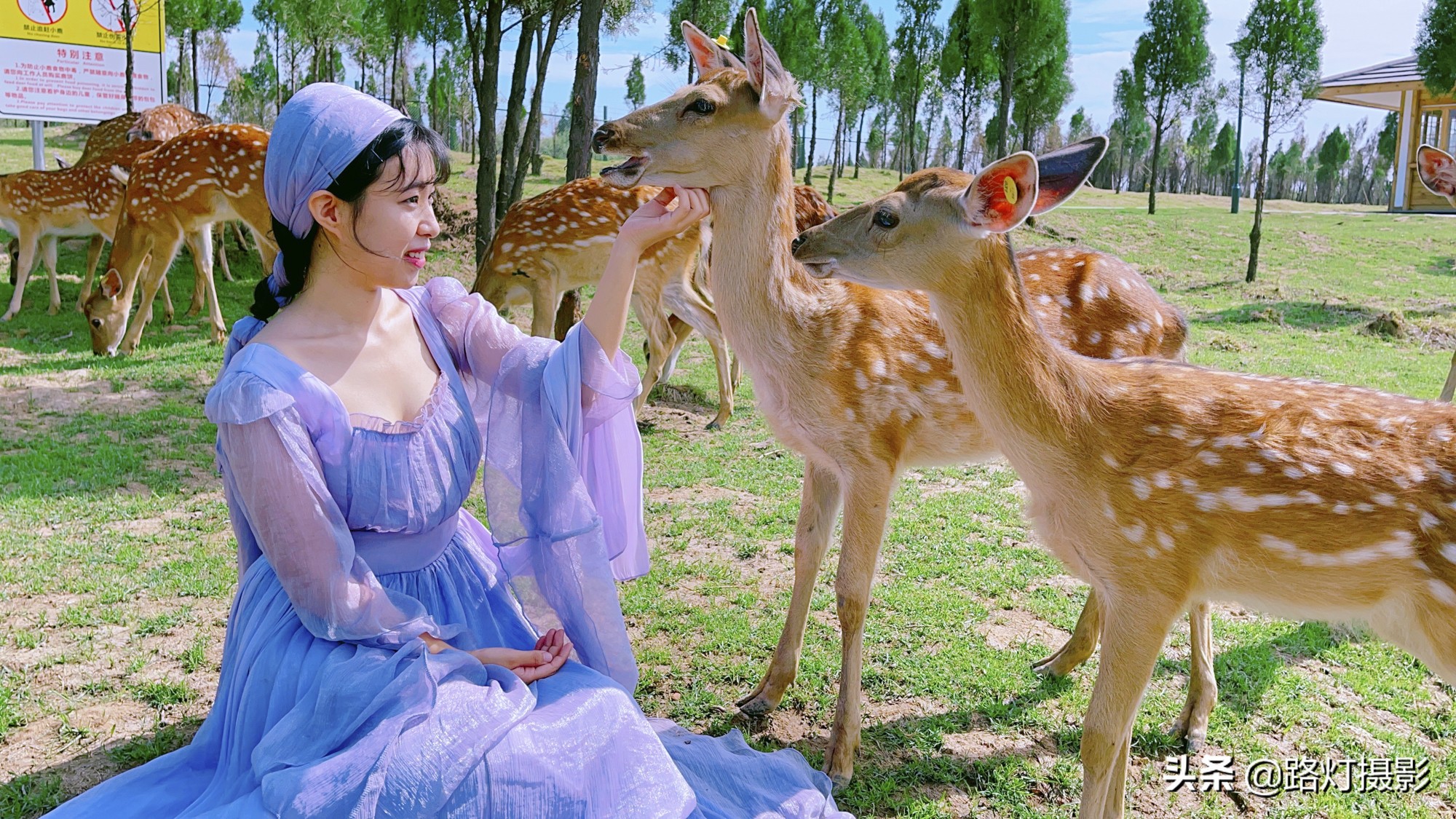 国内避暑纳凉十大好地方,最值得一去的避暑地