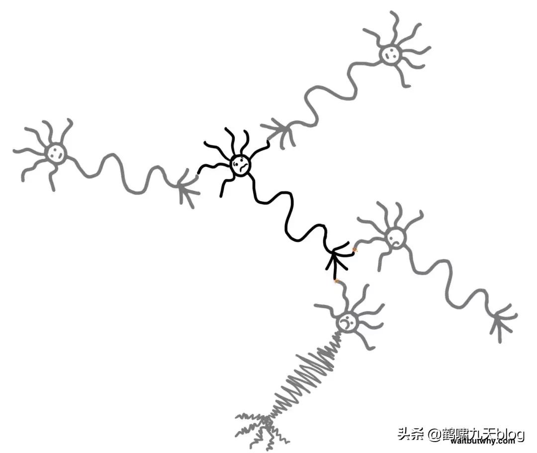 人类大脑如何超越人工智能,人类的出路在于将自身升级为神
