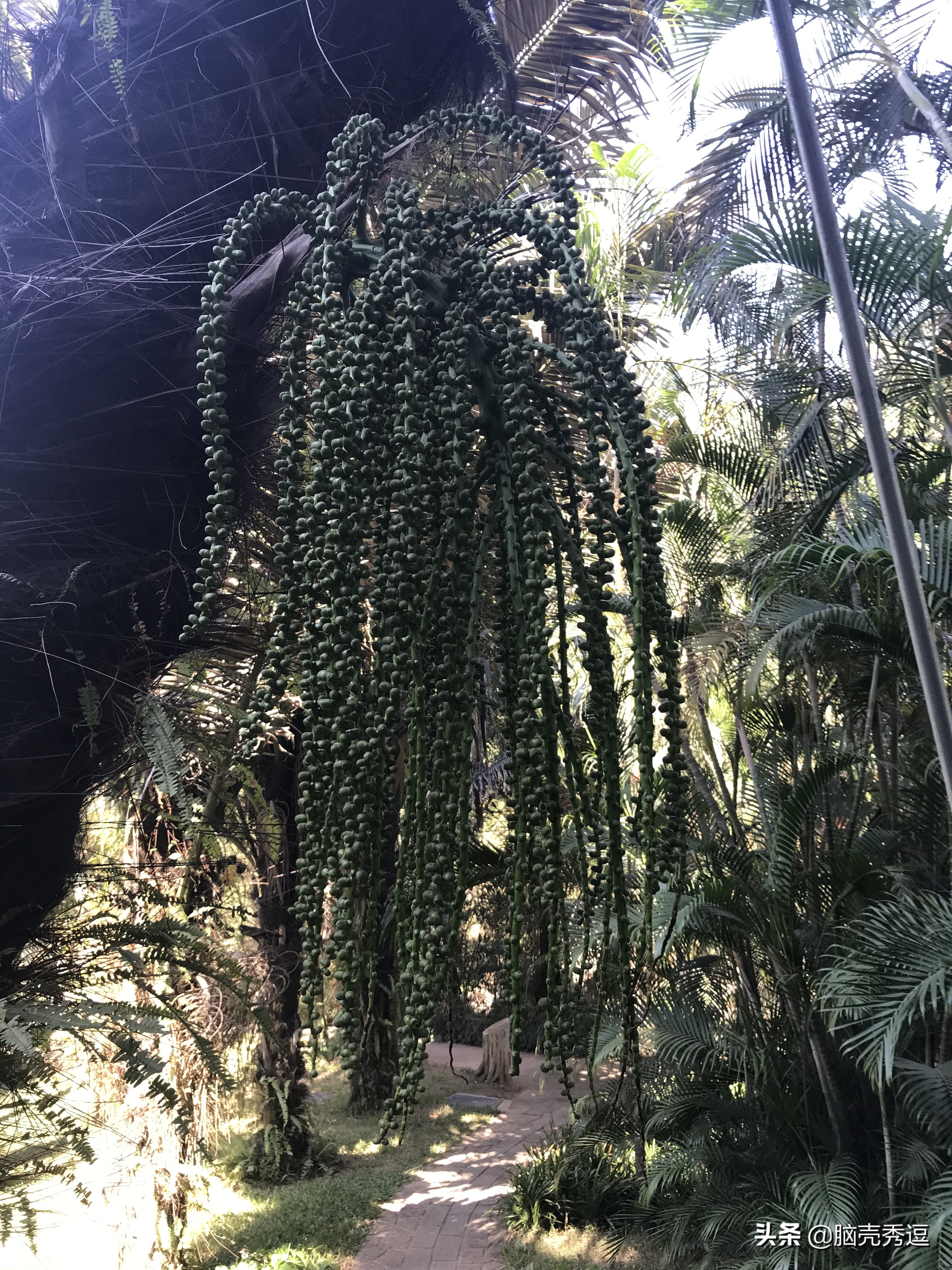 厦门四天自由行攻略最详细,厦门自由行攻略5天详细