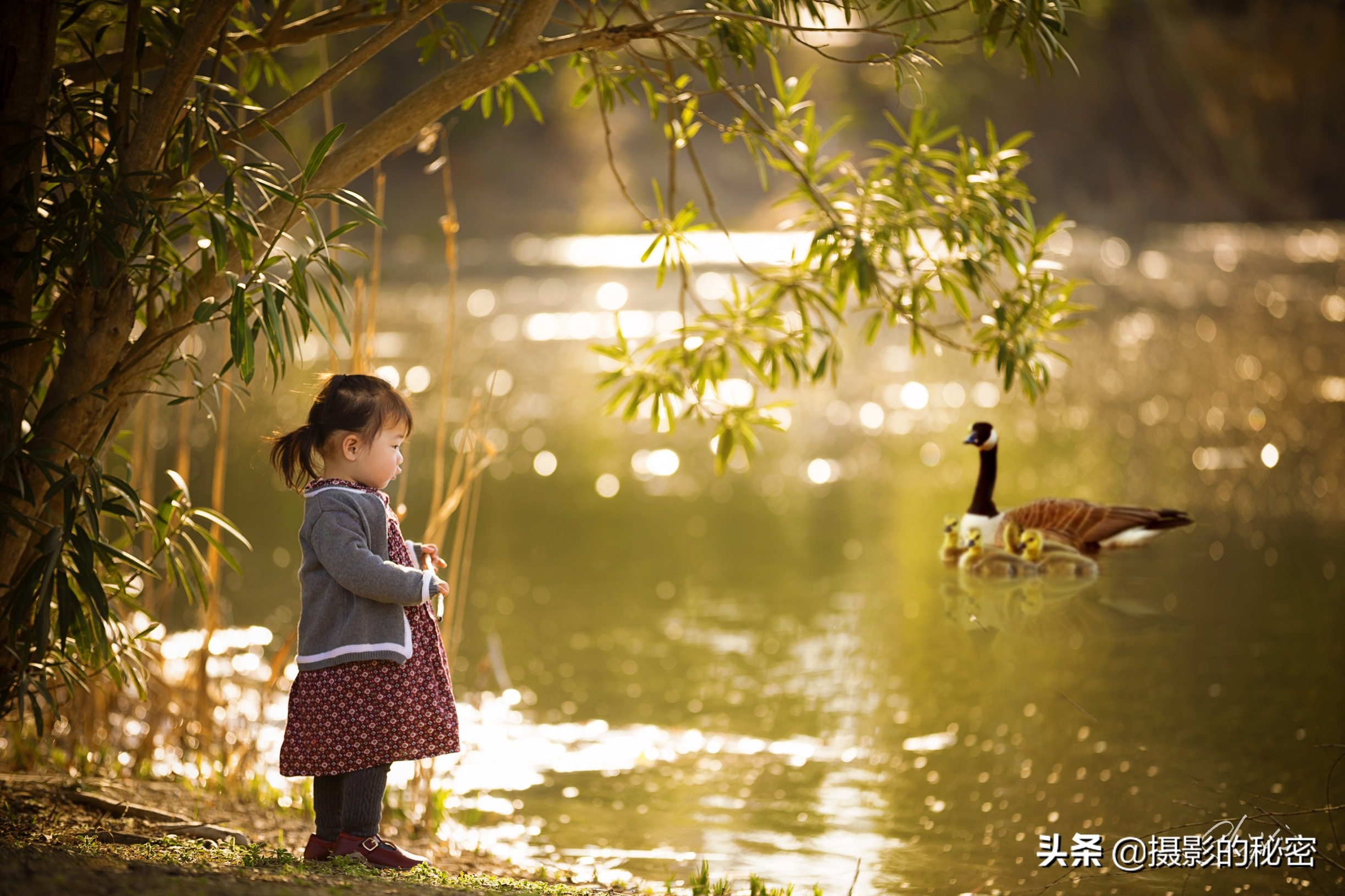 专访｜在乡下拍儿童客单价近5000元，她是如何突破传统思维的？