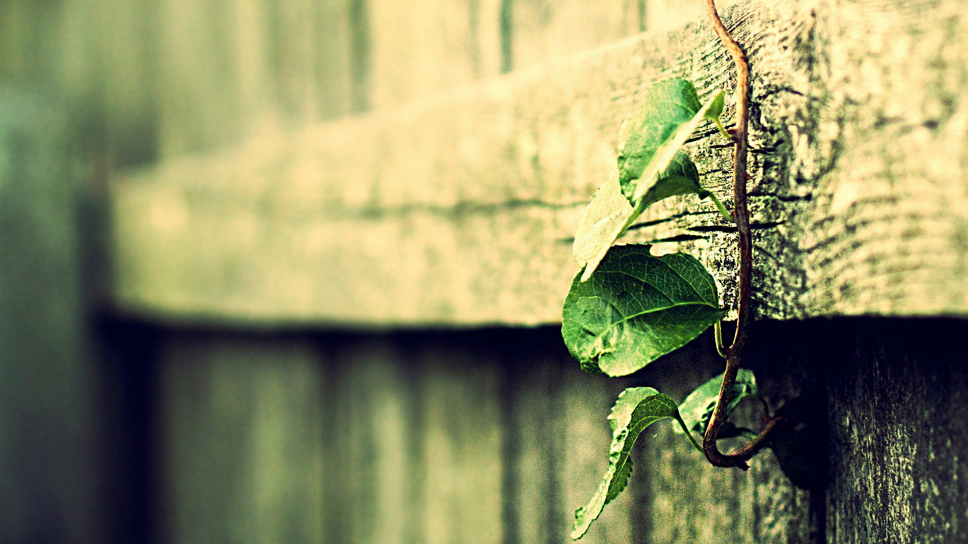 心理学中讨厌自己是什么原因,心态差的心理学