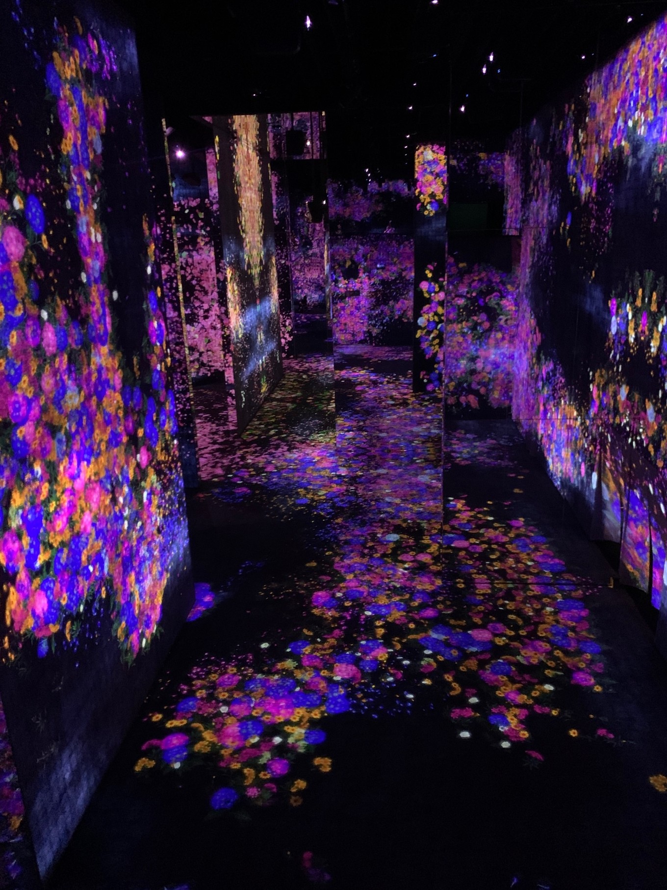 疫情隔离在家解锁新技能,澳门最新入境防控疫情措施