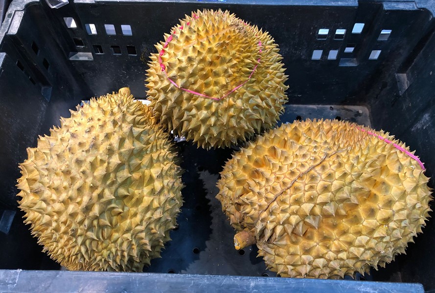 三伏天碱性水果正当季有哪些,三伏天来临这3种水果最好