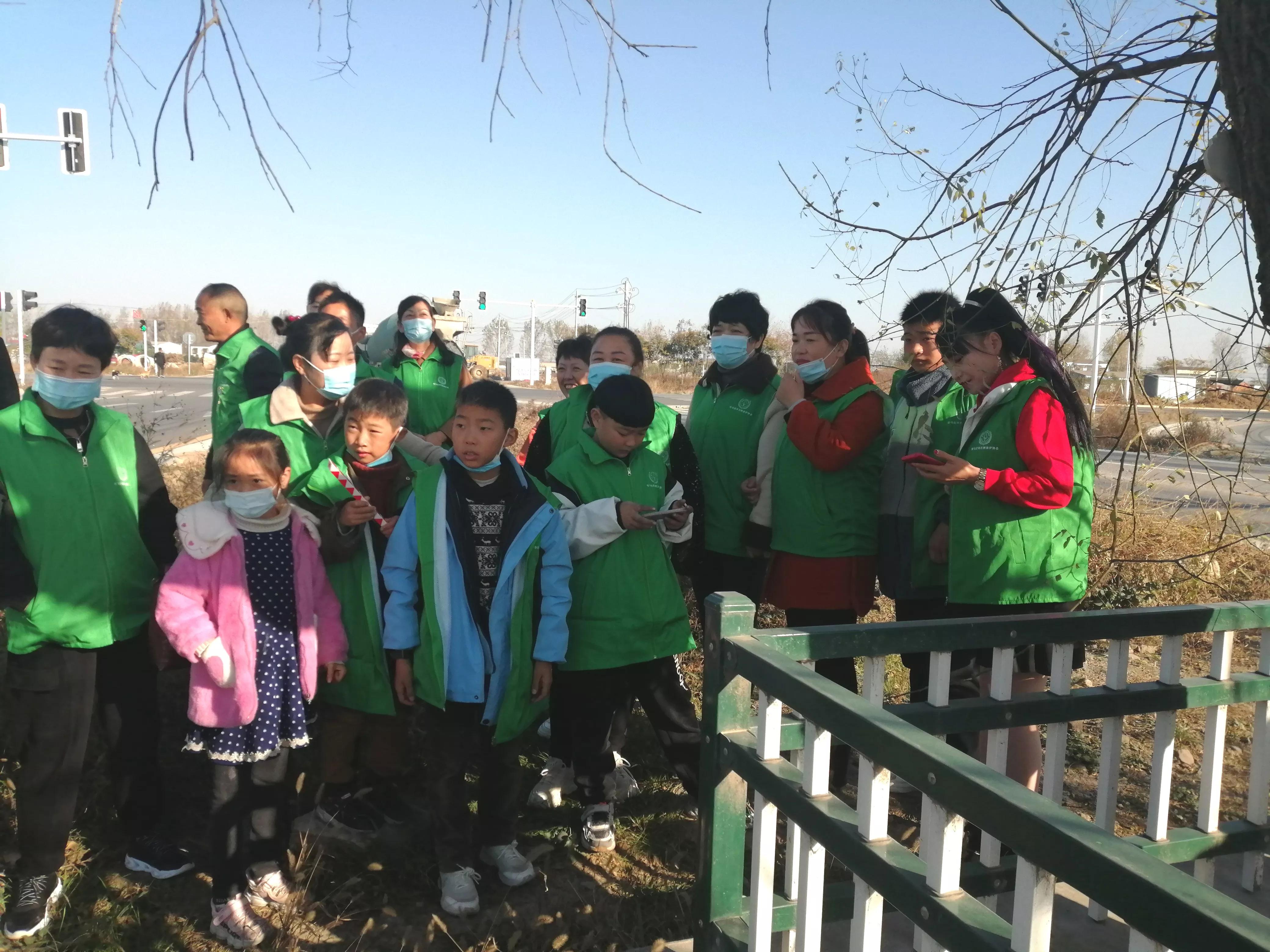 驻马店志愿者行动,驻马店古树保护志愿