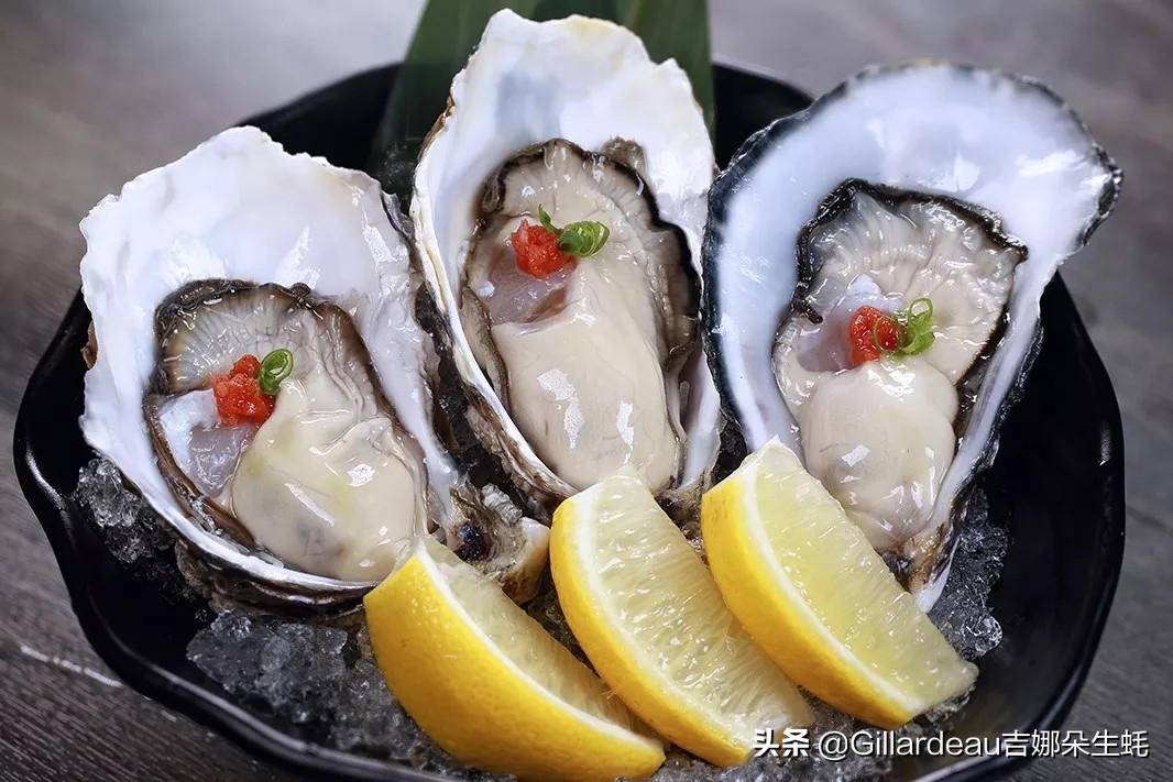 吉娜朵松子料理：在全面营业的日料店里，蚝自由地吃起来