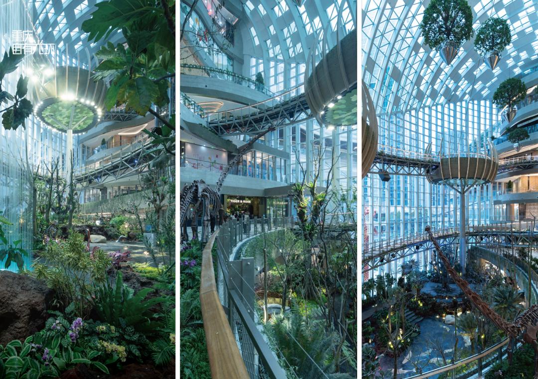 开业两日客流量突破57万,重庆光环如何征服消费者