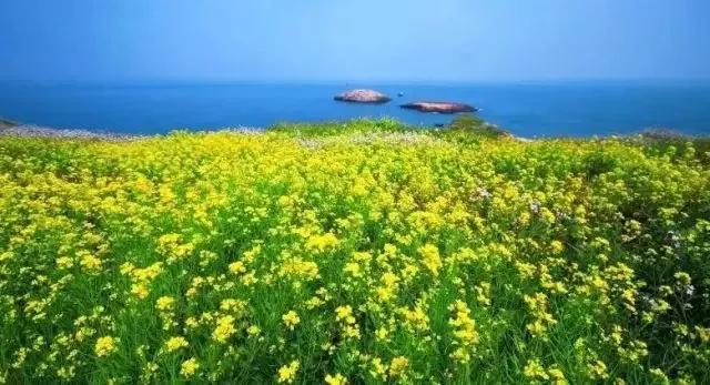 上海附近适合三五天游玩的海岛,离上海最近的绝美海岛