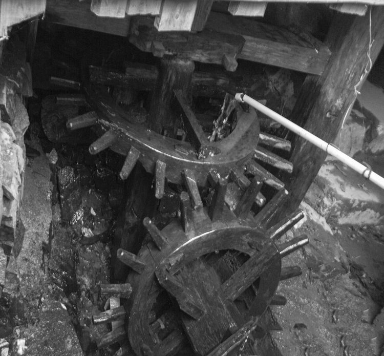 8月向日葵云海(徽州百工、黟县的朋友圈、瓷都景德镇)采风