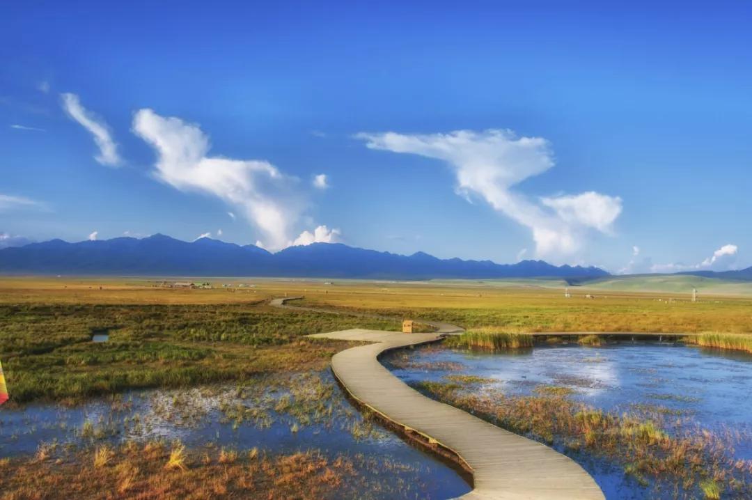 超适合一个人的15个国内外旅行地,国内适合一个人旅行的景点有哪些