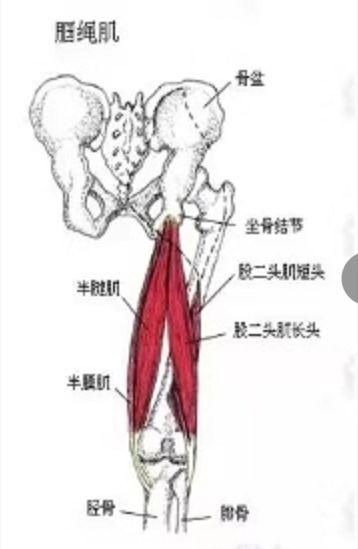 大腿侧部疼痛中医如何治疗,大腿疼痛中医辨证
