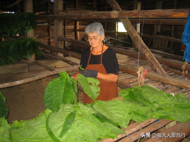 古巴最贵雪茄品牌价格表,最贵的古巴雪茄多少钱一支