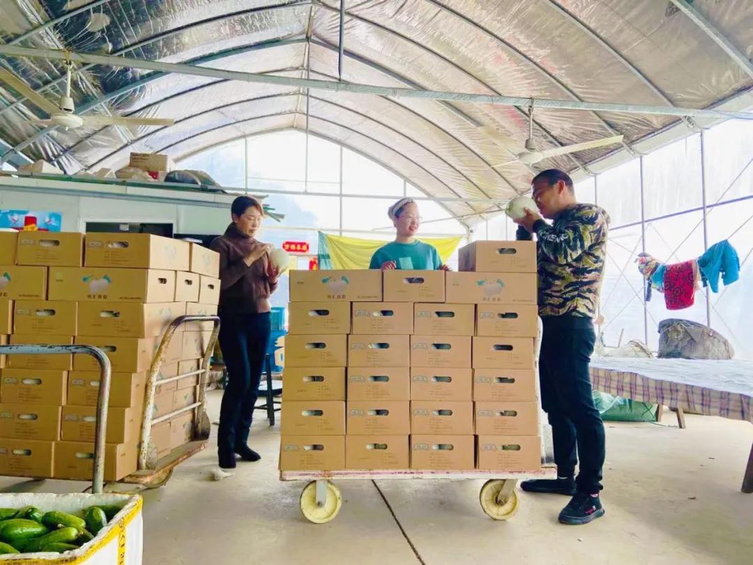 比名字还甜的“玉菇”来啦！一*爆口**汁，被誉为“植物界冰淇淋”