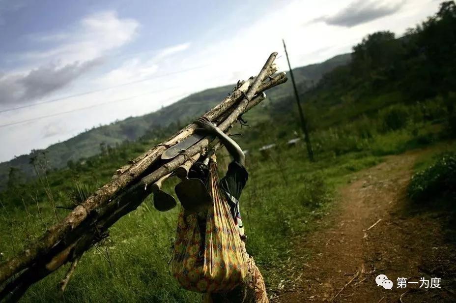 刚果共和国历史简介,刚果国家简介